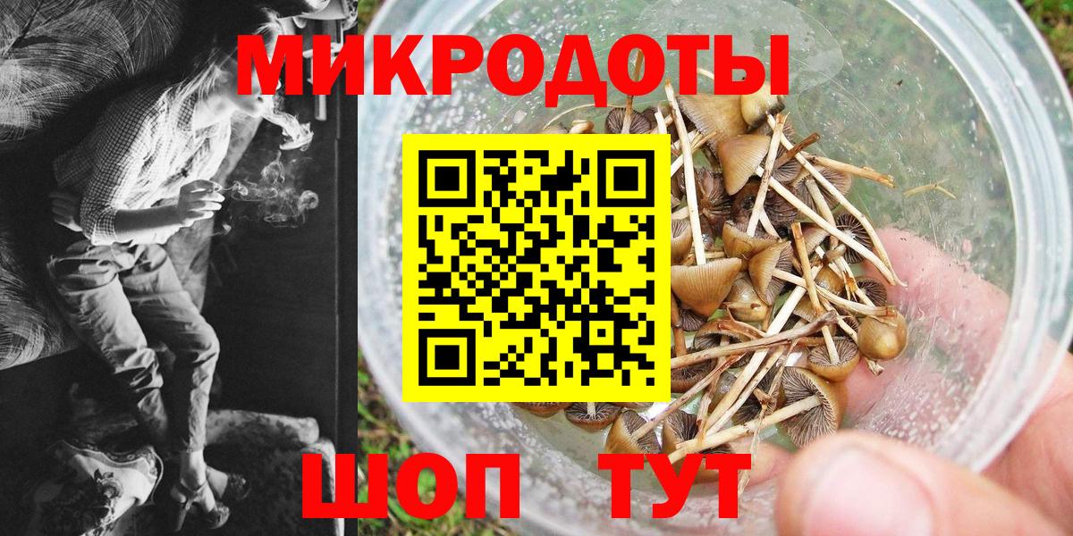 Псилоцибиновые грибы прущие грибы Ефремов