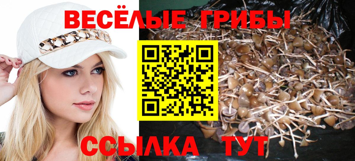 Галлюциногенные грибы Cubensis  Вход с VPN  Ефремов  Псилоцибиновые грибы Psilocybine cubensis 